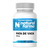 Pata de Vaca 250mg 60 Cápsulas